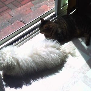 Meet your Posher, Babysweetpea